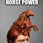 Horse Hair Relax | I NEED SOME HORSE POWER; BARBER: I GOT YOU | image tagged in horse hair relax | made w/ Imgflip meme maker