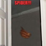 Everybody hates spiders.  | SPIDER!!! | image tagged in scumbag steve gone,sewmyeyesshut,memes,funny,spiders | made w/ Imgflip meme maker