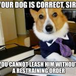 Lawyer Dog | YOUR DOG IS CORRECT, SIR. YOU CANNOT LEASH HIM WITHOUT A RESTRAINING ORDER | image tagged in lawyer dog | made w/ Imgflip meme maker