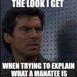 Bothered Bond | THE LOOK I GET; WHEN TRYING TO EXPLAIN WHAT A MANATEE IS | image tagged in memes,bothered bond | made w/ Imgflip meme maker