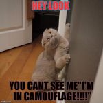 Whaaat | HEY LOOK; YOU CANT SEE ME"I'M IN CAMOUFLAGE!!!!" | image tagged in whaaat | made w/ Imgflip meme maker