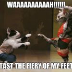 Kung Fu Cats | WAAAAAAAAAAH!!!!!! TAST THE FIERY OF MY FEET | image tagged in kung fu cats | made w/ Imgflip meme maker