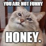 Cats are maniacs | YOU ARE NOT FUNNY; HONEY. | image tagged in cats are maniacs | made w/ Imgflip meme maker