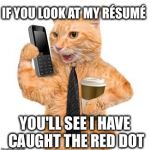 Business Cat | IF YOU LOOK AT MY RÉSUMÉ; YOU'LL SEE I HAVE CAUGHT THE RED DOT | image tagged in business cat | made w/ Imgflip meme maker