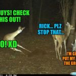 Deer skils | HEY GUYS! CHECK THIS OUT! RICK... PLZ STOP THAT... NO! XD; I'M GONNA PUT MY HEAD IN THE GROUND... | image tagged in ghostly deer | made w/ Imgflip meme maker