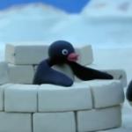 Pingu sees that ass meme