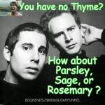 simon and garfunkel | You have no Thyme? How about Parsley, Sage, or Rosemary ? | image tagged in simon and garfunkel | made w/ Imgflip meme maker