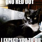 no red dot | NO RED DOT; I EXPECT YOU TO DIE | image tagged in james bond,bond quotes,funny cat,memes,funny cat memes | made w/ Imgflip meme maker