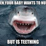 O Hai Shark | WHEN YOUR BABY WANTS TO NURSE; BUT IS TEETHING | image tagged in o hai shark | made w/ Imgflip meme maker