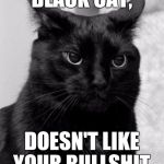 Black cat pissed | BLACK CAT, DOESN'T LIKE YOUR BULLSHIT. | image tagged in black cat pissed | made w/ Imgflip meme maker