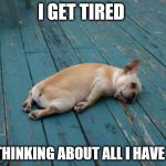 The struggle is real | I GET TIRED JUST THINKING ABOUT ALL I HAVE TO DO | image tagged in sleepy dog | made w/ Imgflip meme maker