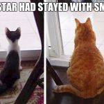 fat cats | IF FIRESTAR HAD STAYED WITH SMUDGE... | image tagged in fat cats | made w/ Imgflip meme maker