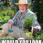 Herb's in the garden | WELL NOW; WOULD YOU LOOK AT THE THYME | image tagged in herb in the garden,memes,funny,gardening,old people,bad pun | made w/ Imgflip meme maker
