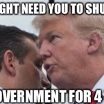 Trump's Plan In A Nutshell | TED, I MIGHT NEED YOU TO SHUT DOWN; THE GOVERNMENT FOR 4 YEARS | image tagged in donald trump | made w/ Imgflip meme maker