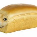Doge bread