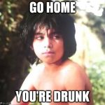 Mowgli "Are you kidding me?" | GO HOME; YOU'RE DRUNK | image tagged in mowgli are you kidding me | made w/ Imgflip meme maker