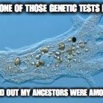 Amoeba | GOT ONE OF THOSE GENETIC TESTS DONE; FOUND OUT MY ANCESTORS WERE AMOEBAS | image tagged in amoeba | made w/ Imgflip meme maker