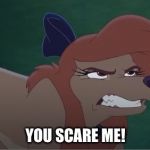 You Scare Me! | YOU SCARE ME! | image tagged in dixie annoyed,memes,disney,the fox and the hound 2,reba mcentire,dog | made w/ Imgflip meme maker
