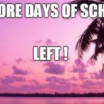 Endless Summer | 11 MORE DAYS OF SCHOOL; LEFT ! | image tagged in endless summer | made w/ Imgflip meme maker