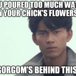 Gorgom's behind this! | YOU POURED TOO MUCH WATER ON YOUR CHICK'S FLOWERS?! GORGOM'S BEHIND THIS! | image tagged in gorgom's behind this | made w/ Imgflip meme maker