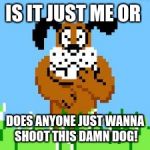 DUCK HUNT DOG LAUGHS AT YOUR STUPIDITY | IS IT JUST ME OR; DOES ANYONE JUST WANNA SHOOT THIS DAMN DOG! | image tagged in duck hunt dog laughs at your stupidity | made w/ Imgflip meme maker