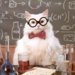 Science Cat Physics