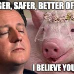brexit pig gate | STRONGER, SAFER, BETTER OFF. I BELIEVE YOU DAVE | image tagged in brexit pig gate | made w/ Imgflip meme maker