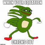 sanic pepe | WHEN YOUR EQUATION; CHECKS OUT | image tagged in sanic pepe | made w/ Imgflip meme maker