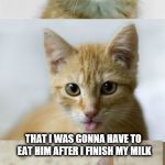 Bad Pun Cat | I TOLD THE PARAKEET; THAT I WAS GONNA HAVE TO EAT HIM AFTER I FINISH MY MILK; IT WAS EASIER THAN I EXPECTED BECAUSE HE THOUGHT I WAS JUST KITTEN | image tagged in bad pun cat | made w/ Imgflip meme maker