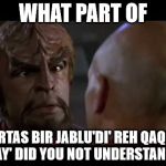 Lt. Worf | WHAT PART OF; BORTAS BIR JABLU'DI' REH QAQQU' NAY' DID YOU NOT UNDERSTAND? | image tagged in lt worf | made w/ Imgflip meme maker