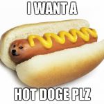 doge hot doge | I WANT A; HOT DOGE PLZ | image tagged in doge hot doge | made w/ Imgflip meme maker