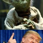 Yoda and Trump meme
