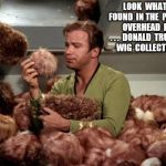 Tribbles | LOOK  WHAT  I  FOUND  IN THE  PLANE'S  OVERHEAD  BIN . . .  DONALD  TRUMP'S  WIG  COLLECTION ! | image tagged in tribbles | made w/ Imgflip meme maker