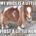 Little horse | SORRY MY VOICE IS A LITTLE RASPY; I'M JUST A LITTLE HORSE | image tagged in memes,horse,little | made w/ Imgflip meme maker