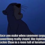 Bagheera | The face you make when someone suggests something really stupid, like fighting Jackie Chan in a room full of furniture. | image tagged in bagheera | made w/ Imgflip meme maker