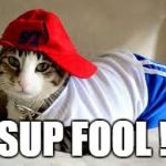 Gangsta Lil T | SUP FOOL ! | image tagged in gangsta lil t | made w/ Imgflip meme maker