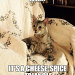 What | WHAT; IT'S A CHEESE-SPICE TRIANGLE | image tagged in what | made w/ Imgflip meme maker
