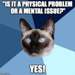 Chronic illness cat | "IS IT A PHYSICAL PROBLEM OR A MENTAL ISSUE?"; YES! | image tagged in chronic illness cat | made w/ Imgflip meme maker