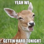 Go Home Bambi, You're Drunk | YEAH WE; GETTIN HARD TONIGHT | image tagged in go home bambi you're drunk | made w/ Imgflip meme maker