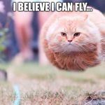 Sanic Kitty | I BELIEVE I CAN FLY... | image tagged in sanic kitty | made w/ Imgflip meme maker