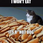 Cat hotdogs | I WON'T EAT; ITS A "HOT DOG" | image tagged in cat hotdogs | made w/ Imgflip meme maker
