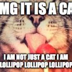 Cat Lollipop | OMG IT IS A CAT; I AM NOT JUST A CAT I AM A LOLLIPOP LOLLIPOP LOLLIPOPLE | image tagged in cat lollipop | made w/ Imgflip meme maker