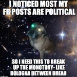 LSD Dowg | I NOTICED MOST MY FB POSTS ARE POLITICAL; SO I NEED THIS TO BREAK UP THE MONOTONY- LIKE BOLOGNA BETWEEN BREAD | image tagged in lsd dowg | made w/ Imgflip meme maker