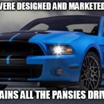Mustang | MUSTANGS WERE DESIGNED AND MARKETED FOR WOMEN; THAT EXPLAINS ALL THE PANSIES DRIVING THEM | image tagged in mustang | made w/ Imgflip meme maker