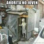 Ahorita no joven