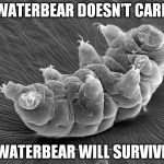 waterbear doesn't care | WATERBEAR DOESN'T CARE; WATERBEAR WILL SURVIVE | image tagged in don't care,tardigrade | made w/ Imgflip meme maker