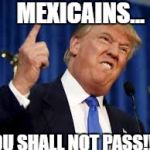 Donald Trump | MEXICAINS... YOU SHALL NOT PASS!!!! | image tagged in donald trump | made w/ Imgflip meme maker