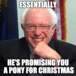 Vote Bernie Sanders | ESSENTIALLY; HE'S PROMISING YOU A PONY FOR CHRISTMAS | image tagged in vote bernie sanders | made w/ Imgflip meme maker