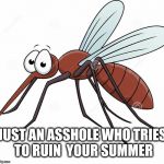 cute mosquito | JUST AN ASSHOLE WHO TRIES TO RUIN  YOUR SUMMER | image tagged in cute mosquito | made w/ Imgflip meme maker