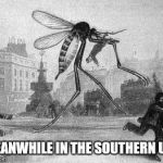 Mosquito Attack | MEANWHILE IN THE SOUTHERN U.S. | image tagged in mosquito attack | made w/ Imgflip meme maker